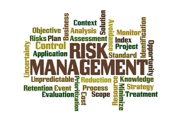 Risk Management and Internal Control – Safeguarding Value in a Digital World