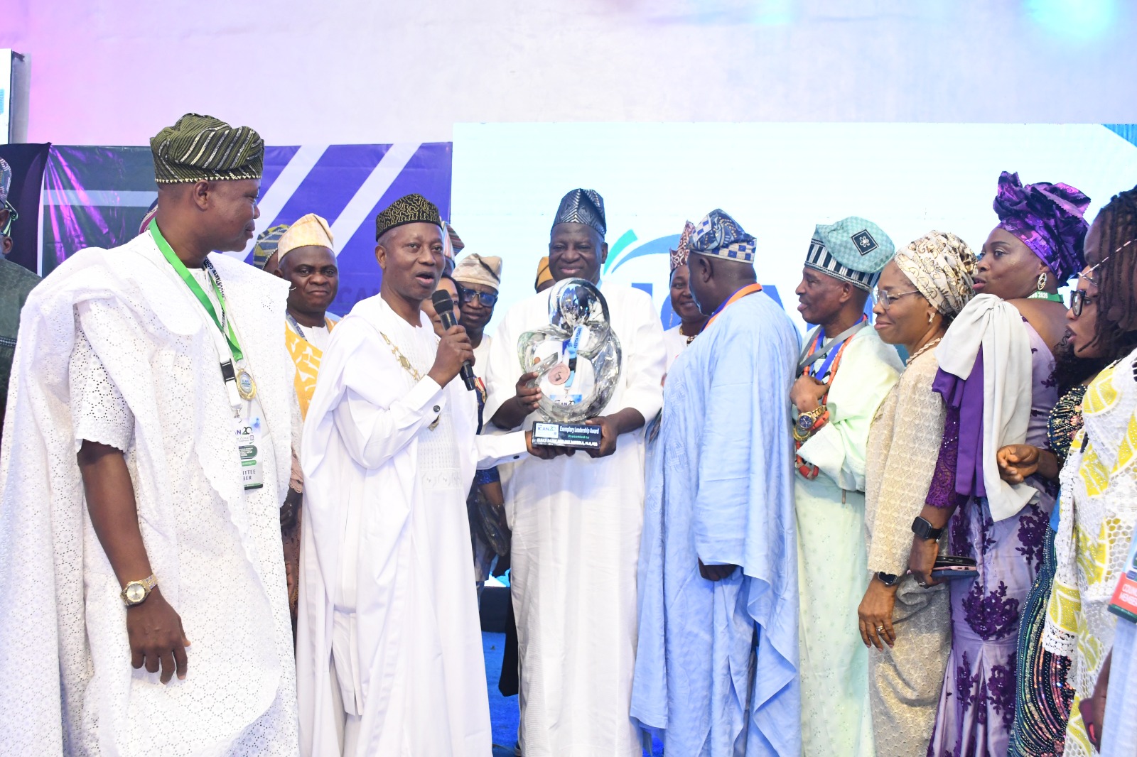 Platinum Award for Exceptional Leadership and Professional Excellence